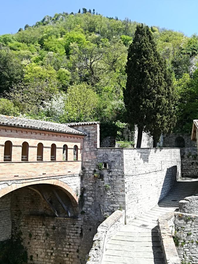Civico 10 Hotel Gubbio Kültér fotó